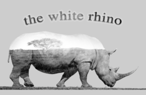 Double Exposure photo of rhino